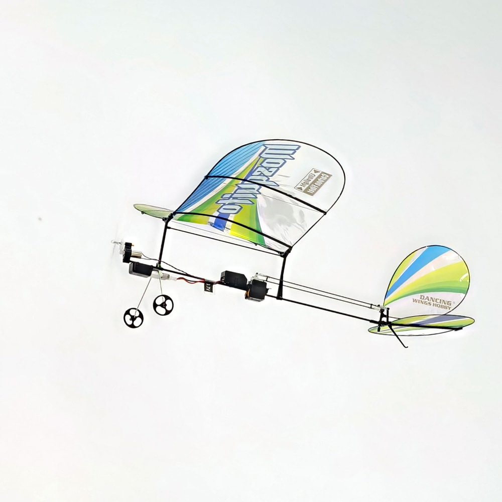 Dancing Wings Hobby Remote Control 360mm Ultra-Micro Indoor Carbon Fiber Film Airplane Mosquito