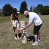 Masters Giant Tumble Tower - Mango Wood - 81cm view 4