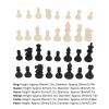 Alomejor PS Plastic Replacement Chess Pieces Wear and Falling Easy to Carry 32 Chessmen Pieces Suitable for Birthday PS Material Color 32 X Chess (Black White) view 3