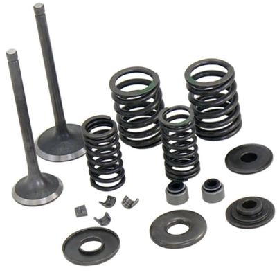 Inlet/Exhaust Sets YP250-5027 Fit For Linhai 250 260 300 520 Yamaha Keeway Jinlang Feishen Scooter ATV 22714