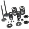 Inlet/Exhaust Sets YP250-5027 Fit For Linhai 250 260 300 520 Yamaha Keeway Jinlang Feishen Scooter ATV 22714 view 1