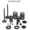 Inlet/Exhaust Sets YP250-5027 Fit For Linhai 250 260 300 520 Yamaha Keeway Jinlang Feishen Scooter ATV 22714 view 2