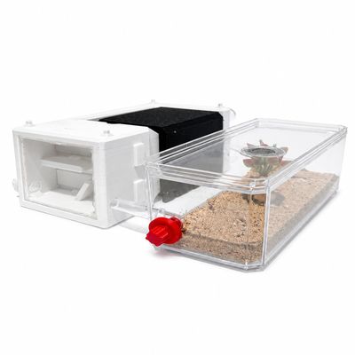 AntopiaUSA Desktop Ant Farm(White)