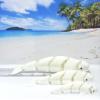3pcs Beluga Whale Toy Figure, Articulated White Whale Beluga 3D Printed Ocean Creature for Desk Display, Stress Relief Toy, 3D Printed in USA ABW001-SET view 3