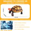 AENIMELY Red-Footed Tortoise Figurine Realistic Solid Plastic Land Turtle Model, Science Display, Cake Topper Reptile Decor, Wildlife Collection view 3