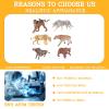 AENIMELY 6PCS Wild Animal Figurines Set Hollow Jungle Safari Animals with Monkey Cub, Gray Wolf, Lion Science Display, Cake Toppers Decor view 3