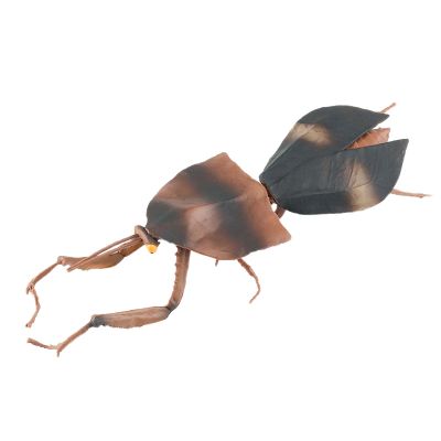 AENIMELY Realistic Dead Leaf Mantis Figurine Large Solid Plastic Insect Model, Science Display, Cake Topper, Display Decor