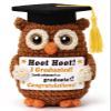 Weming Graduation Gifts for Kids Him Her, Handmade Crochet Owl Plush for Preschool Kindergarten Elementary Middle School Graduated Students, 2026 Graduation Gift for College Girls Boys view 1