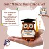 Weming Graduation Gifts for Kids Him Her, Handmade Crochet Owl Plush for Preschool Kindergarten Elementary Middle School Graduated Students, 2026 Graduation Gift for College Girls Boys view 2