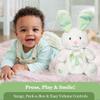 Dimple Mila Peek-a-Boo Bunny Stuffed Animal Interactive Easter Bunny Plush with Singing Songs Easter Basket Stuffer for Toddlers Baby Easter Gift for Kids, Girls & Boys Ages 0+, Mint Green view 4