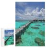 1000 PCS Woode Puzzles for Aldult, Personalized Wooden Puzzles for Family Games, Funny Maldives Scenery Jigsaw Puzzle with Box for Gift, Lightweight Puzzle Piece for Beginner view 1