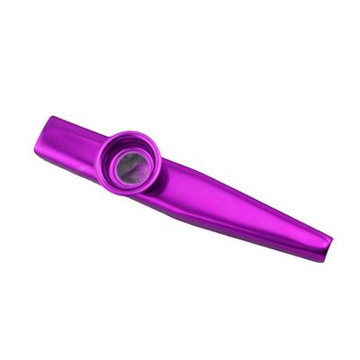 1 pc Kazoo Percussion Instrument Musical Instrument Metal Kazoo Random Color Fashion Book