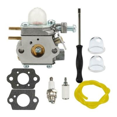Top!-Carburetor For Troy-Bilt TB21EC TB22EC TB32EC TB42BC TB80EC 1 WT-973 Carb