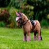 LeMieux Toy Pony Bandages - Mallow - Suitable for Ages 3+ view 3