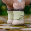 LeMieux Toy Pony Bandages - Macaron - Suitable for Ages 3+ view 2