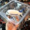 CHICHIYANG 1:300 Scale A321 Aircraft Q-Version Series Model for Adult Birthday Present Gift view 3
