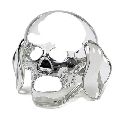 Antique Skull & Crossbones Accessories, Skull Cap Badges, Skull Head Brooches, Novelty Brooch Pins for Collars, Costume Medals for Role Play & Party Favors (Polished Silver)