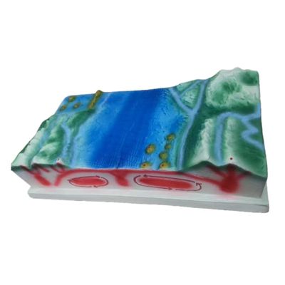 3D Plate Tectonics Model Display Set, Scientific Geology Teaching Aid with Seabed Topography 45x22x12cm Resin Structure for Earth Science Education