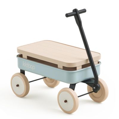 Kidpop Kids First Pull-Along Wagon with Removable Cover and Basket for Storage, 4-in-1 Push Pull Toy Cart for Toddlers, Lightweight (5.5 lbs), 1st Birthday Gift (Blue)