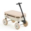 Kidpop Kids First Pull-Along Wagon with Removable Cover and Basket for Storage, 4-in-1 Push Pull Toy Cart for Toddlers, Lightweight (5.5 lbs), 1st Birthday Gift (White) view 1