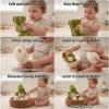 Bebamour Montessori Pull Carrot Toy Plush Stuffed Dinosaurs Set Soft Cotton Sensory Play Gift (Dinosaur) view 2
