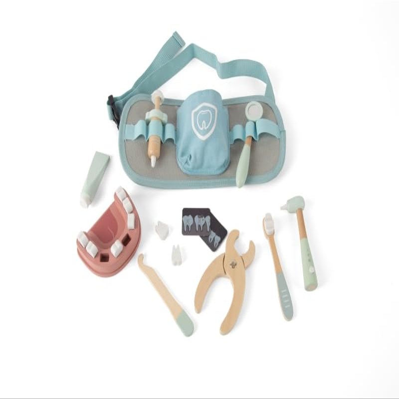 Dantoy Wooden Dentist Set Toy 19 Pieces in Box Educational