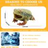 AENIMELY Realistic Frog Figurine TPR Soft Rubber Squeeze Stress Relief Animal Collectible, Amphibian Sculpture for Home Decor Office Desk Display view 3