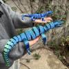 3D Animals 3D Printed Toy Lizard for Home Office Executive Desk Decoration Surprise Fantasy Gifts-Laser Green||30cm/11.8in view 2