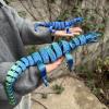 3D Animals 3D Printed Toy Lizard for Home Office Executive Desk Decoration Surprise Fantasy Gifts-Laser Green||30cm/11.8in view 4