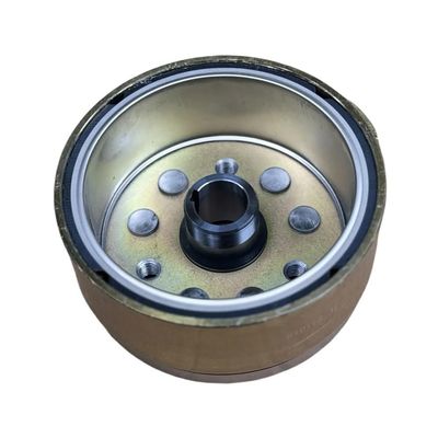Magneto Rotor Suitable Fit For JS250 LX250 RT250 LD250