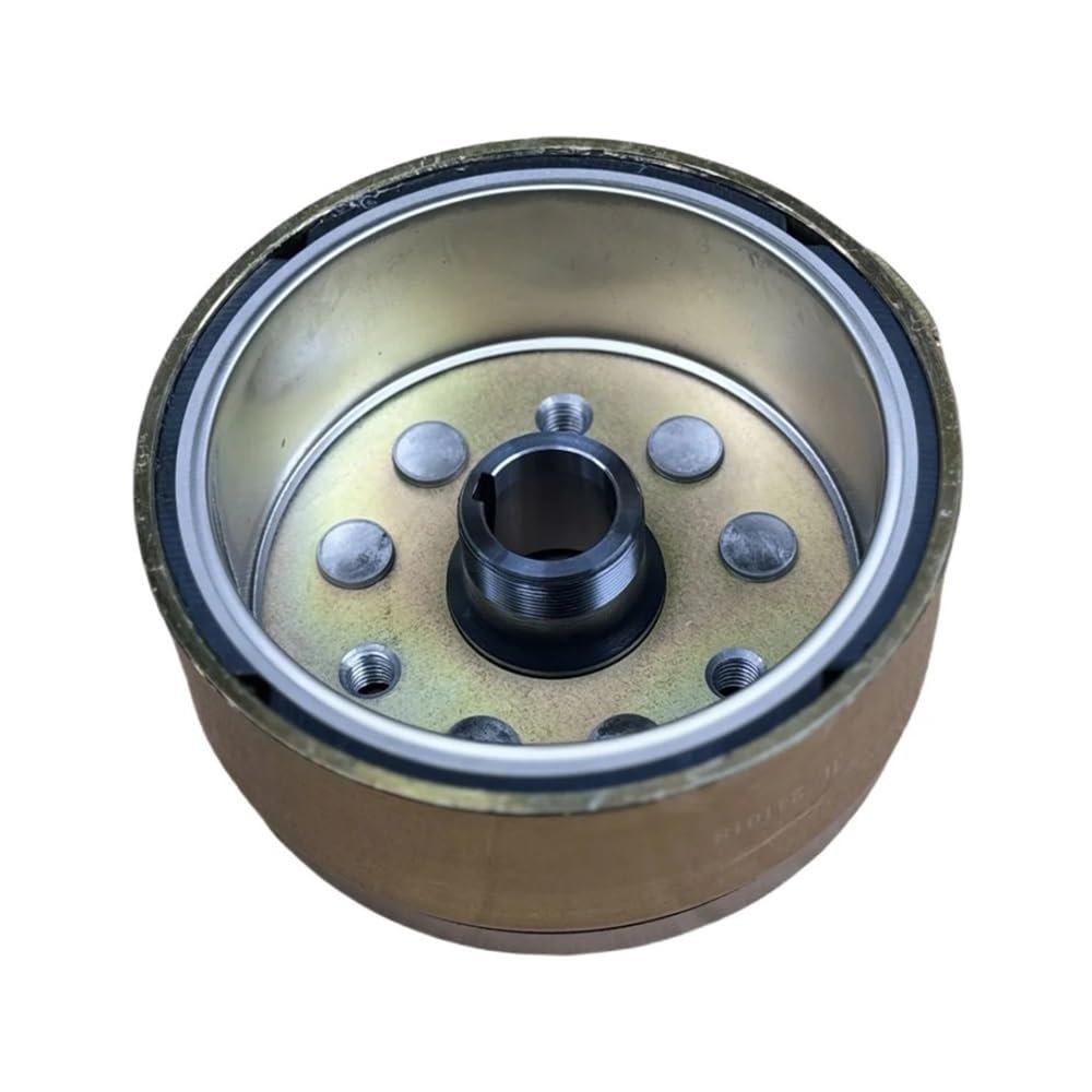 Magneto Rotor Suitable Fit For JS250 LX250 RT250 LD250