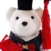 Abaodam 20pcs Graduation Bear Bulk, 2026 Mini Bears Stuffed Animal Plush for Her/him - Class of 2026 Small Keepsake for DIY Keychain Bag Decoration Party Favor view 4
