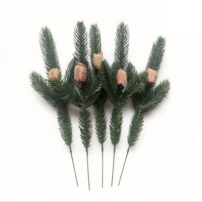 Praying Mantis Ootheca Egg Case on a Pine Branch(Five Egg Cases) Imitate the Wild Environment, Release to the Garden, Nature, Each Ootheca can Produce up to 400 Baby mantises