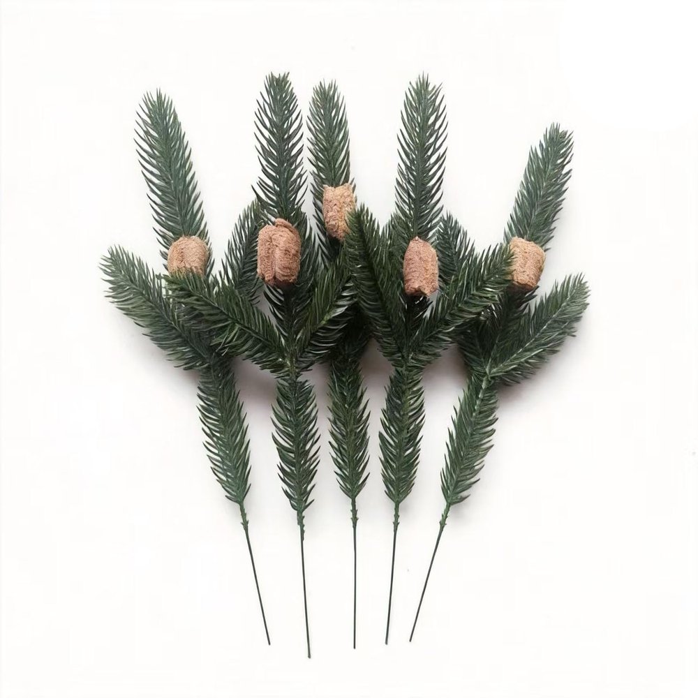 Praying Mantis Ootheca Egg Case on a Pine Branch(Five Egg Cases) Imitate the Wild Environment, Release to the Garden, Nature, Each Ootheca can Produce up to 400 Baby mantises