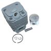 SPOTIUA Cylinder Piston Kit for RY3714,RY3716,RY3818,RCS3835T,RCS3840T,309893007 view 1