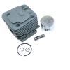 SPOTIUA Cylinder Piston Kit for RY3714,RY3716,RY3818,RCS3835T,RCS3840T,309893007 view 4