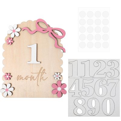 1-12 Monthly Baby Monthly Milestone Signs Announcement Sign Newborn Baby Milestone Wooden Months Milestones for Picture Photography Props Room Decor