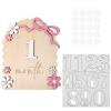 1-12 Monthly Baby Monthly Milestone Signs Announcement Sign Newborn Baby Milestone Wooden Months Milestones for Picture Photography Props Room Decor view 1