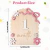 1-12 Monthly Baby Monthly Milestone Signs Announcement Sign Newborn Baby Milestone Wooden Months Milestones for Picture Photography Props Room Decor view 2