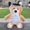 A Little Hug from Heaven on Your Graduation Teddy Bear 2026, Personalized Memorial Graduation Bear 2026, A Hug from Heaven, Custom Sympathy Stuffed Animal Plush Gift for Grandkids from Grandma Grandpa view 4