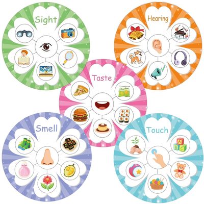 5 Senses Sorting Activity Five Senses Learning Cards with Loop Dots Educational Sensory Game for Fine Motor Skills Homeschool Supplies Teacher Must Haves