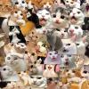 100Pcs Funny Cat Stickers, Cute Meme Cat Sticker Pack, Pet Material Decorative Stickers for Journals, Desks, Notebooks, DIY Crafts, and Daily Use view 3