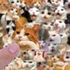 100Pcs Funny Cat Stickers, Cute Meme Cat Sticker Pack, Pet Material Decorative Stickers for Journals, Desks, Notebooks, DIY Crafts, and Daily Use view 4
