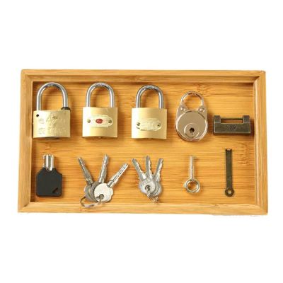 lstyty Montessori Daily Life Teaching Tools The Work of Unlocking Locks 5-Piece Imitation Copper Lock Home Set Educational Toy,B