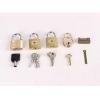 lstyty Montessori Daily Life Teaching Tools The Work of Unlocking Locks 5-Piece Imitation Copper Lock Home Set Educational Toy,B view 3