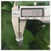 050 Model Airplane Electronic Starter DC 3V-9V 4300-12700RPM Silent High Torque Precious Metal Brush Motor Drivers view 2