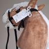 Set Hobby Horse Haflinger A3 with Bridle and Violet Halter - Realistic Hobbyhorse Toy for Older Kids view 3