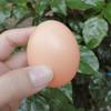 20 PCS Plastic Fake Eggs, Easter Egg,for DIY Crafts, Painting and Realistic Egg, Home Decor, Kids, Kitchen view 2