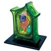 4d Plant Cell Anatomy Model, Removerable Biology Teaching Models with 26 Parts, Organ view 1