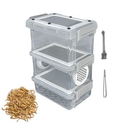 Reptile Feeding Box Multi-Layer Breathable Container Keeper with Tweezers